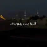 دانلود آهنگ قلبمو پس بهم بده از حامیم